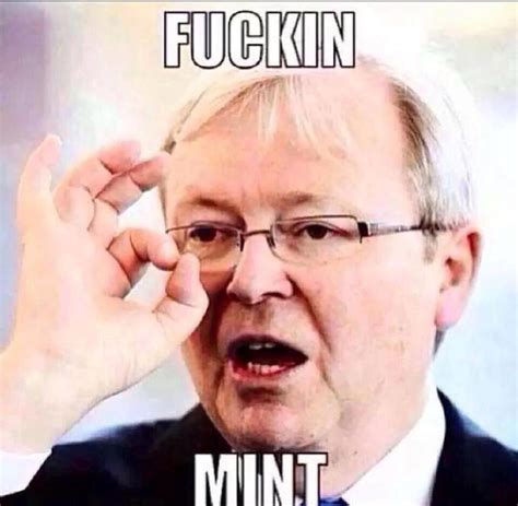 kevin rudd fuckin mint|The top twelve Kevin Rudd moments from his time in politics